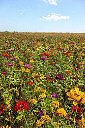 《地心护核者》“起源荒漠”加入卡丁车和猎虫，11月10日发布